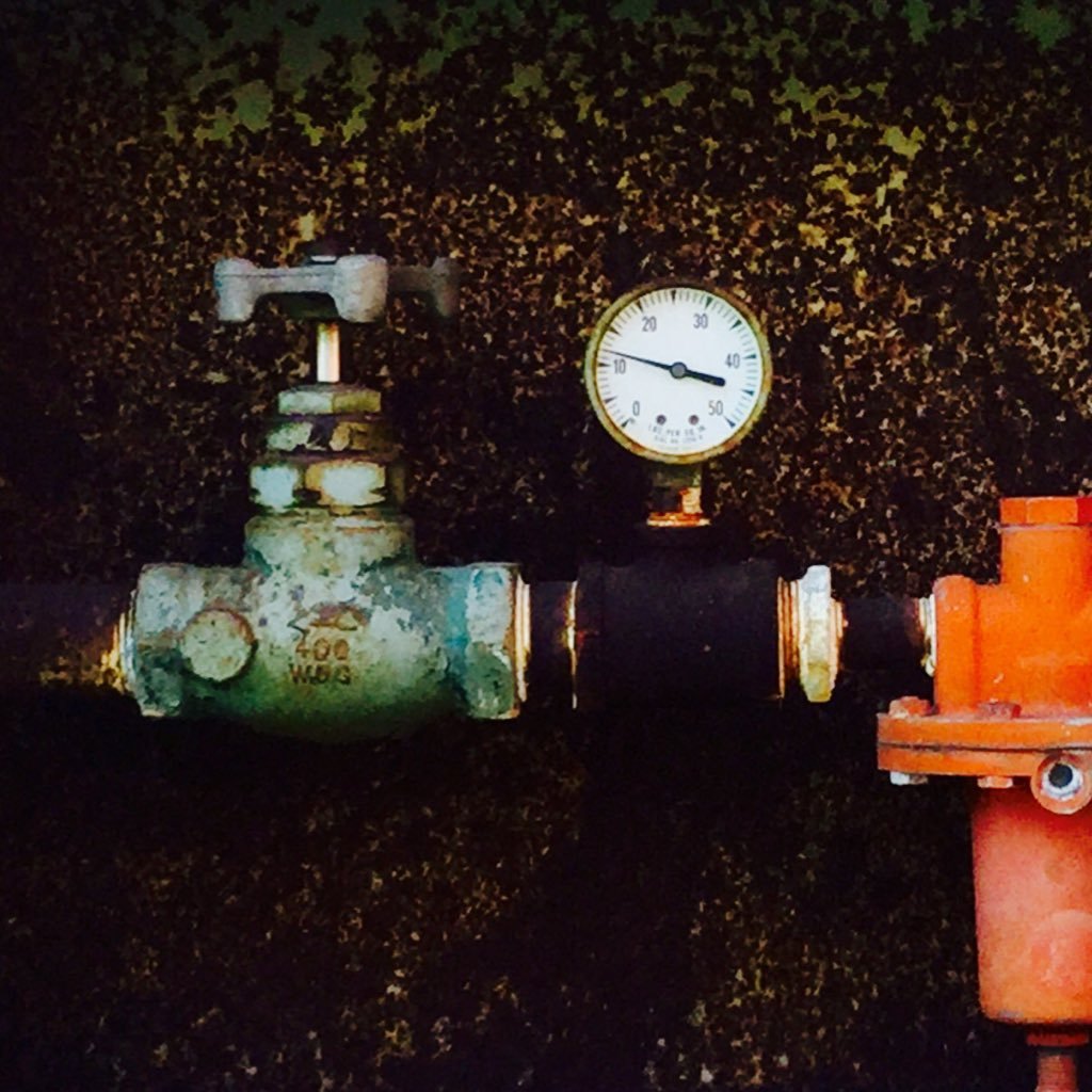 cfer1_Navi's profile picture. 