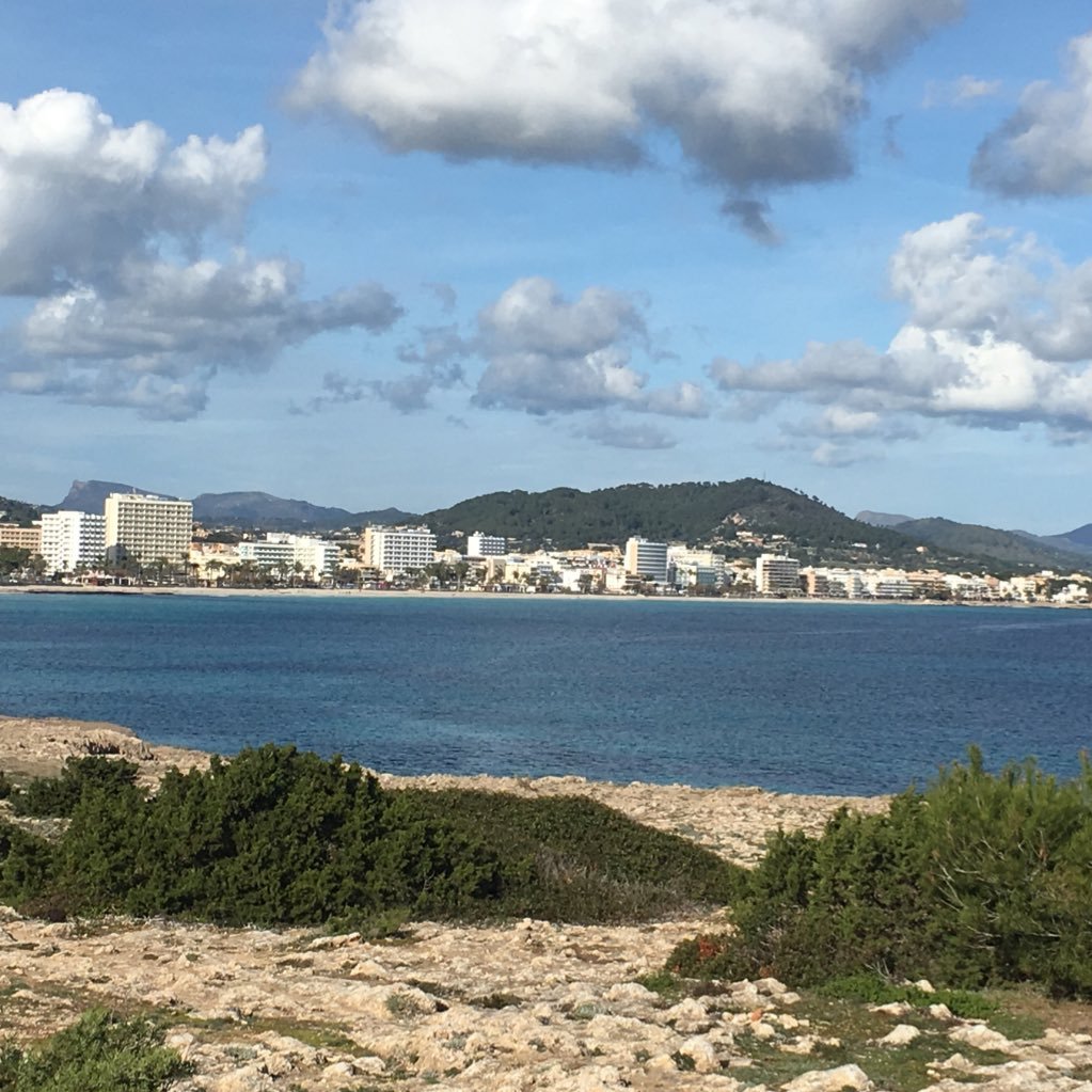 NicolasBordal's profile picture. 