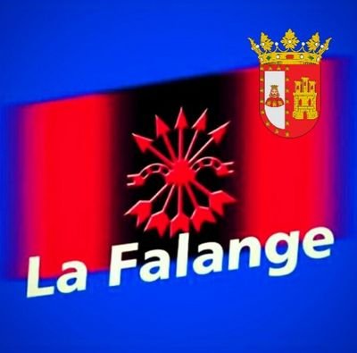 Twitter oficial de La Falange de Burgos▪️ 📲 Whatsapp: 642 18 42 12▪️📩E-mail: lafalangeburgos@gmail.com ▪️ PATRIA,  PAN Y JUSTICIA.