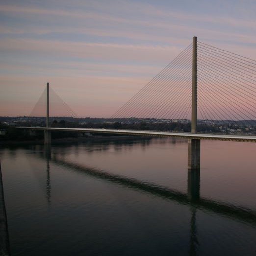 Aline_LRK's profile picture. Le déclin de la biodiversité accélère l'émergence de virus dangereux...