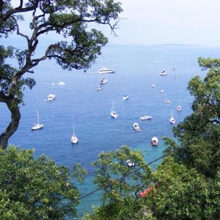 Velidhu7's profile picture. 