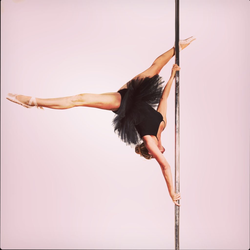 Pole Dancer in Love with Arts and Animals, on loan as CEO @Wildside