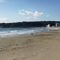 さーふ/おんじゅ (@gsckak3v2klxkdh) 's Twitter Profile