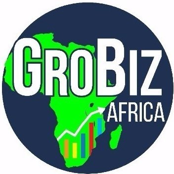 GroBiz Africa provides systems, structures and cultures that support sustainable growth of SMEs, NGOs and corporate institutions in Africa;
policies procedures