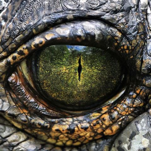 Nature is Litさんのプロフィール画像