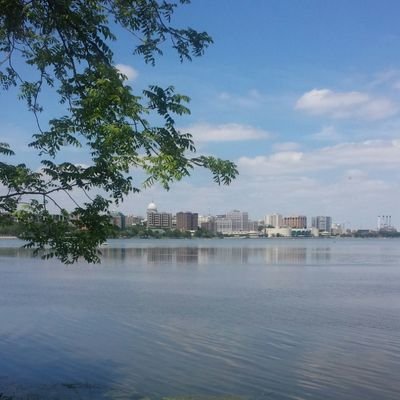 Cor_Did's profile picture. 