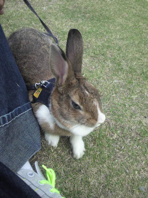 sgr_sgr's profile picture. なんとなく始めてみた。楽しみ方は模索中。まぁ、暇潰しにボチボチね♪