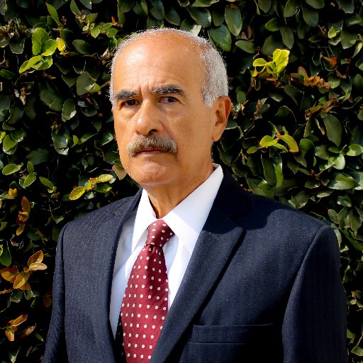 Economista UNAM, Maestria en Administración ULA, IPADE Dirección de Empresa D-1 Diplomado en Filosofía Universidad Panamericana, Analista.