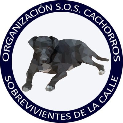 Somos una organización sin fines de lucro con la misión de rescatar a los perritos en situación de abandono