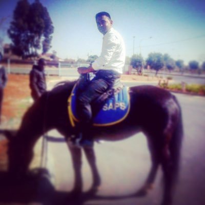 RathodRehan's profile picture. Administrator