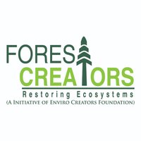 Forest Creators(@forest_creators) 's Twitter Profile Photo