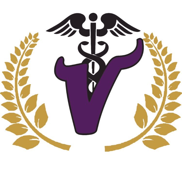 The MSA is an educational/career oriented program that helps students develop their individual abilities and self-awareness. Visit our HOSA page: @vhs_hosa_