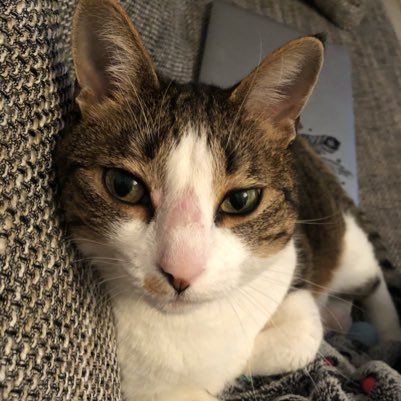 mariam57371966's profile picture. 