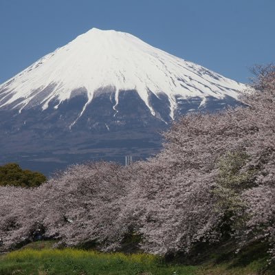 K4zBUixDb4YNuZe's profile picture. #ボートレース #競艇 #ボート