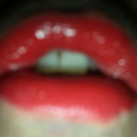 Simotravpa (@simotrav_pa) 's Twitter Profile