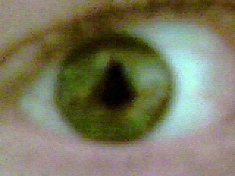 bessertier's profile picture. 