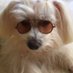 Virna Luque (@vclf1966) Twitter profile photo Virna Luque (@vclf1966) Twitter profile photo
