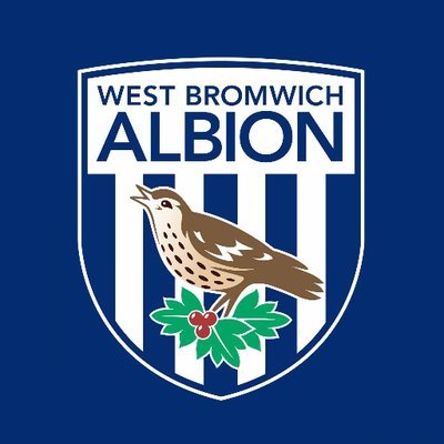 The official account for @WBA's amputee team for children, men and women with amputations or limb deficiencies. #WBA