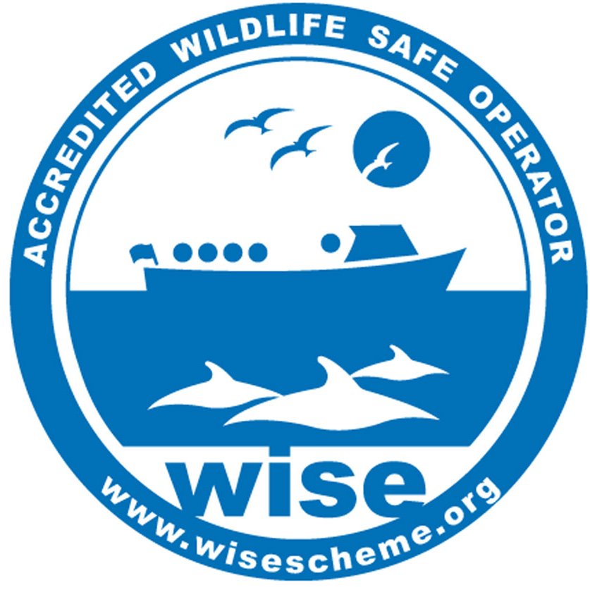 The #WiSeScheme is the UK standard for commercial/public marine wildlife watching: through education and training, we aim to keep wildlife safe from disturbance