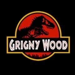 Grigny Wood Officiel On Twitter Finale Du Projet Citoyennete Si J Etais Maire De Ma Ville Montreal Edition Canada France Projet Ne A Grigny