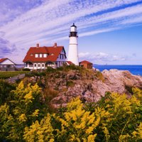 Elibeth Mendez Prato (@elibethmendezpr) 's Twitter Profile