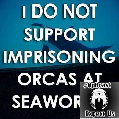 Backup account @orca_waves2...My tweets are GRAPHIC! you are warned...