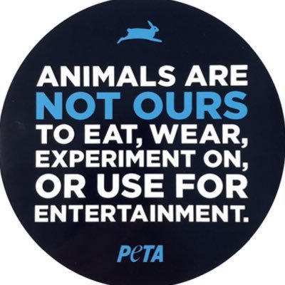 There is no excuse, for animal abuse!