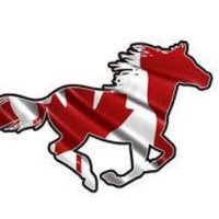 Canada's Horses(@canadashorses) 's Twitter Profile Photo