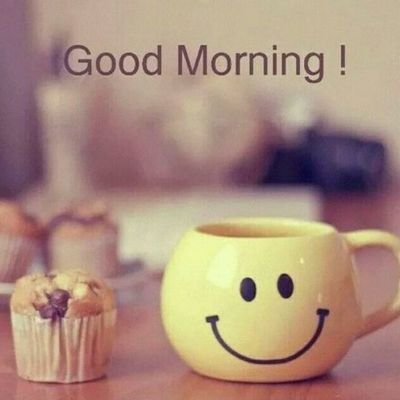 camilgarciag's profile picture. Profesional en Deporte
Especialista en Entrenamiento Deportivo