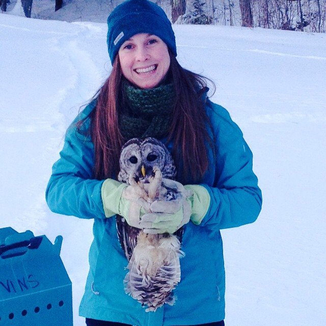 amyejanik's profile picture. MS student at Western Michigan University studying Golden-winged and Blue-winged Warblers