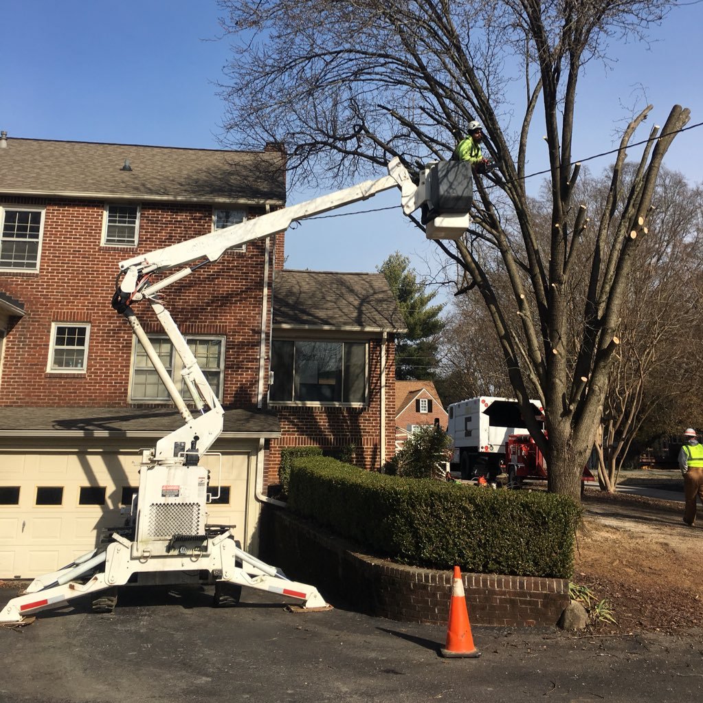 ECROWM is a SDV Owned Business. Located in Lenoir City, TN Our goal is to be your best-valued vegetation management supplier through delivering what we promise!