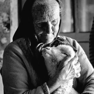 vedat7632's profile picture. 