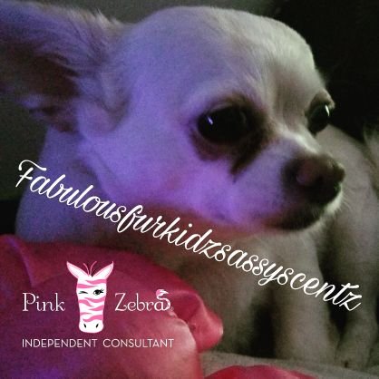 FabulousFurKidzSassyScentz is an Independent Contractor of Pink Zebra, We sell scented items & decor to make your home amazing! Ask me how to earn free stuff!