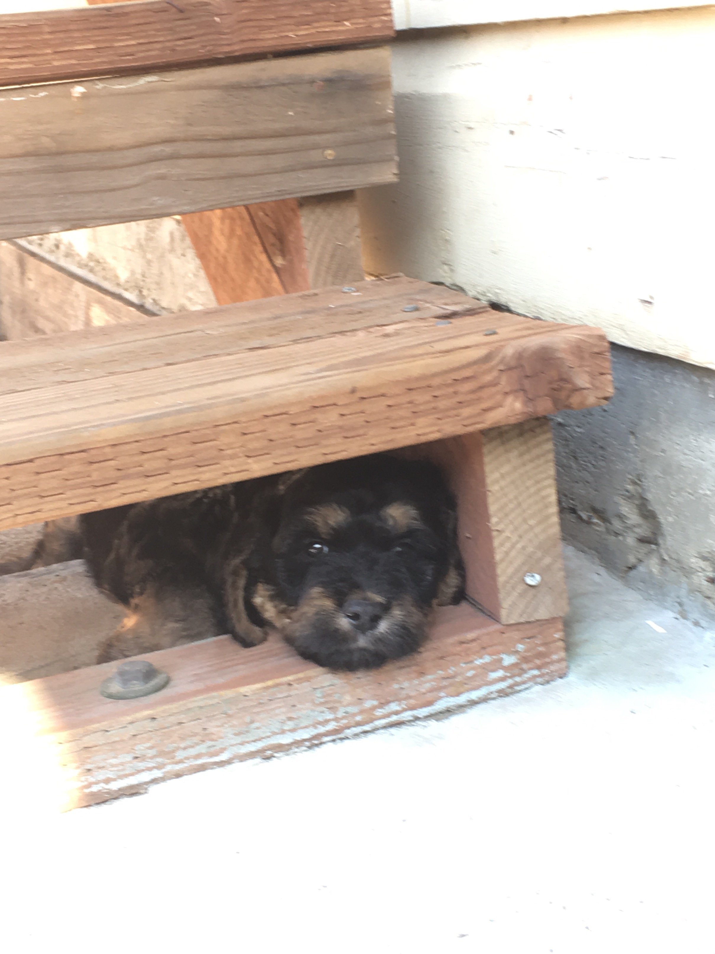 Denise48816527's profile picture. 