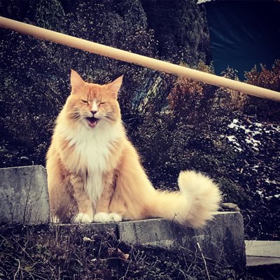 bienetre6's profile picture. LoVe