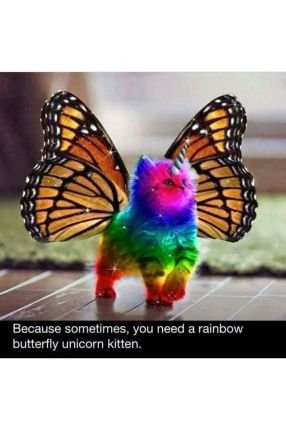 AmandaM40609970's profile picture. Coming soon