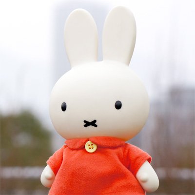 miffyhouse_info Profile Picture