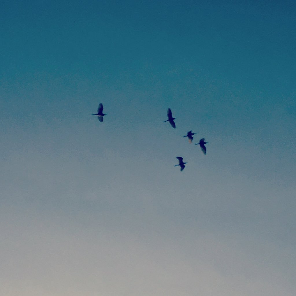 attab0yyy's profile picture. 