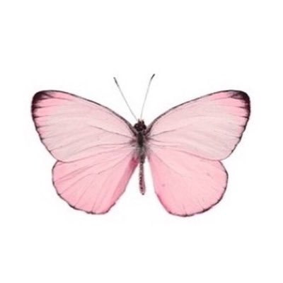 lllnoralll's profile picture. معلمة تقنية رقمية