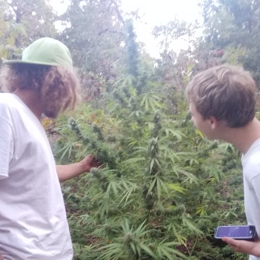 TannerWrights2's profile picture. 