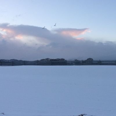 310SatoSa's profile picture. 興味があるもの、RTしています。※無言フォロー不快だったらすみません。
HSP自覚あり(*･ω･)
バセドウ病17年2019年11月手術全摘出。
#バセドウ #バセドウ病 #元バセドウ病 #HSP