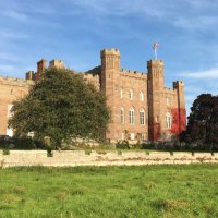 Head Gardener (@sconepalgardens) 's Twitter Profile