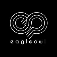 Eagle Owl(@TryEagleOwl) 's Twitter Profile Photo