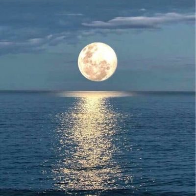 UJbkVRZsLLULA5Z's profile picture. 