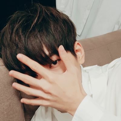 퓨블🐱🐣🦊さんのプロフィール画像