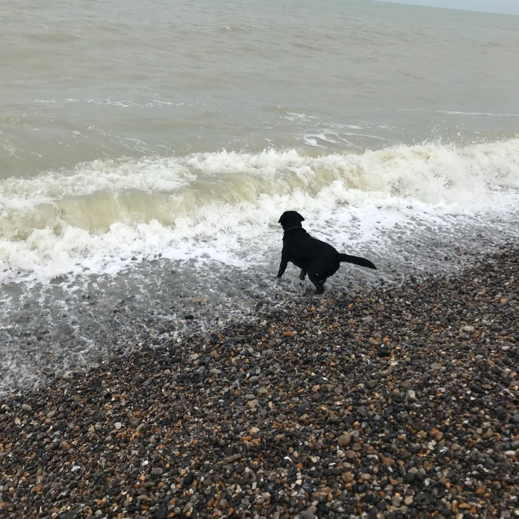 Dr_LeggettMusic's profile picture. Music writing and live reviews