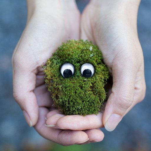 tarkcha's profile picture. UX designer and happy !