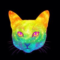 prefollw (@prefollw) 's Twitter Profile