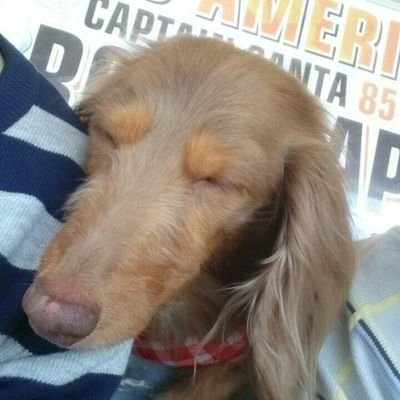 niconicokenjun's profile picture. 三宅健くん🧡1993.7~🧡
V6 1995~forever💙💜💚❤️🧡💛一生健命🧸必笑ｯ!!
@KenMiyake_idol  #瞬間電報健  #君真空管健