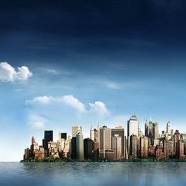 thanhminhlu's profile picture. 